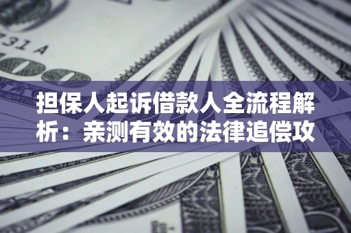 济南担保人起诉借款人全流程解析：亲测有效的法律追偿攻略