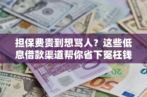 济南担保费贵到想骂人？这些低息借款渠道帮你省下冤枉钱
