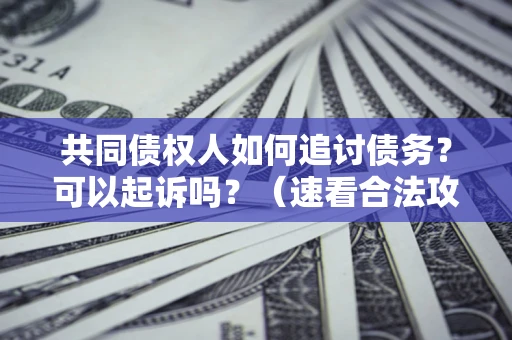 济南共同债权人如何追讨债务？可以起诉吗？（速看合法攻略）