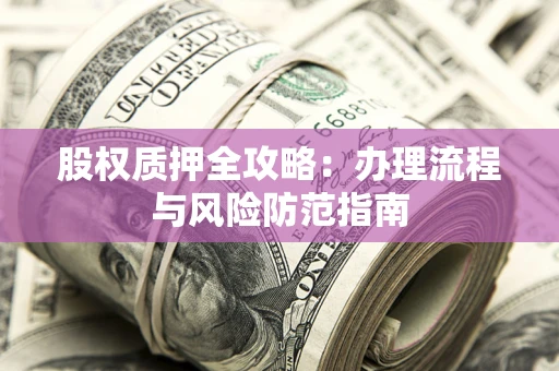 济南股权质押全攻略：办理流程与风险防范指南